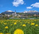 Bild-010.jpg