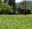 Mariapfarr-Wandern-018.jpg
