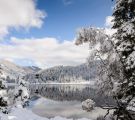 preber_winter_30531.jpg