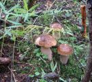 Alle-Bilder-aus-Joh.-Kam.--8.12-070.jpg