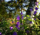 Mariapfarr-Wandern-037.jpg
